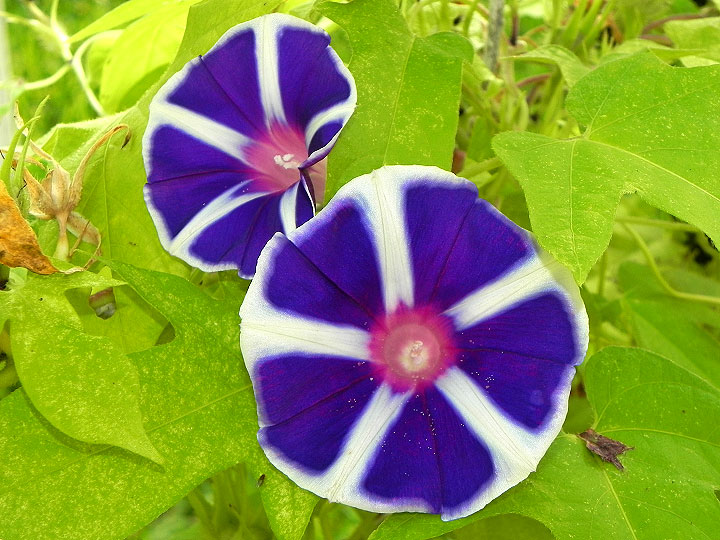 DSCN8633