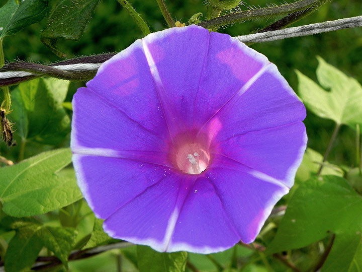 DSCN8641_01