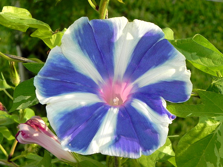DSCN8642_01