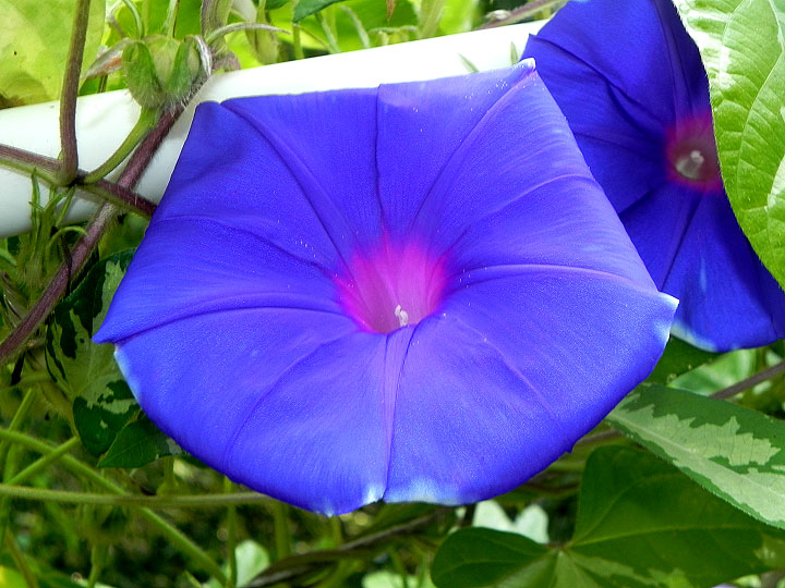 DSCN8711
