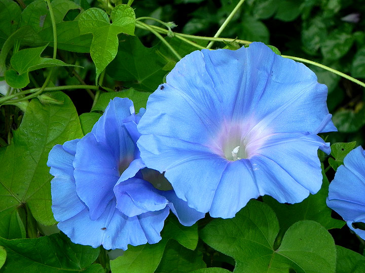 DSCN8712