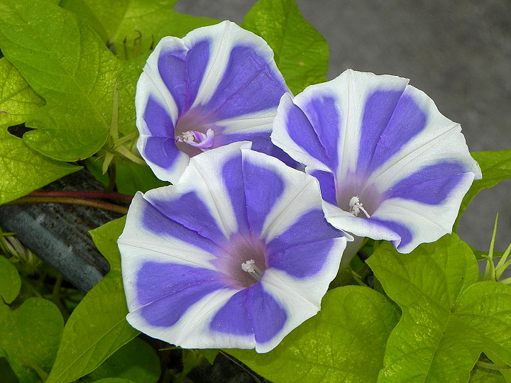 DSCN8789
