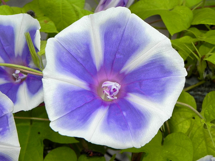 DSCN8790
