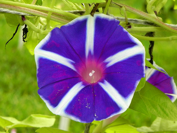 DSCN8877