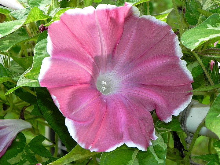 DSCN8902