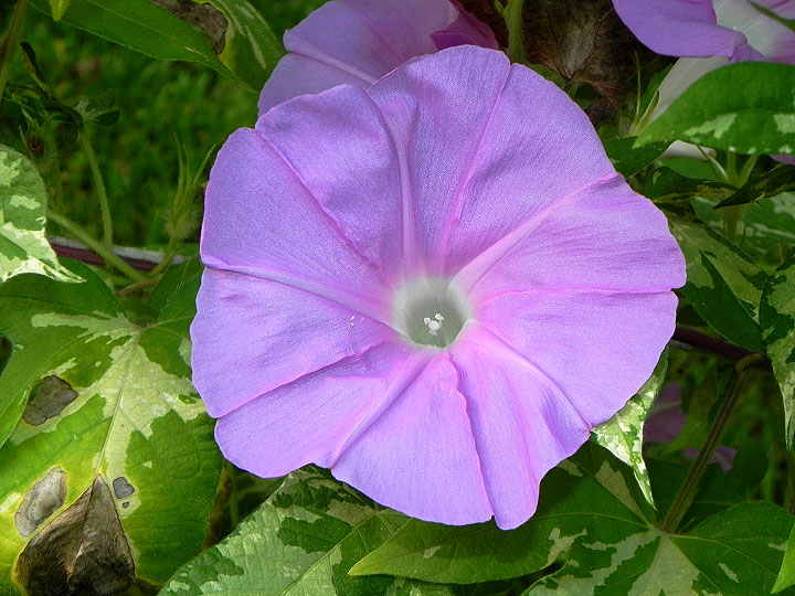 DSCN8910