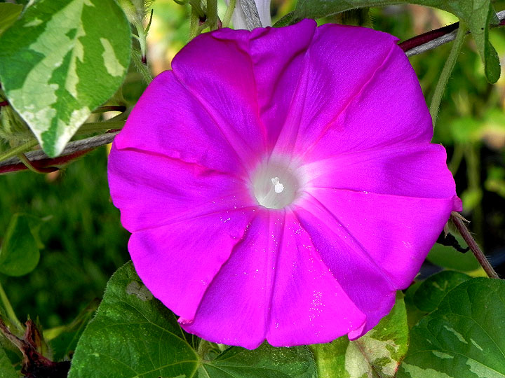 DSCN8931