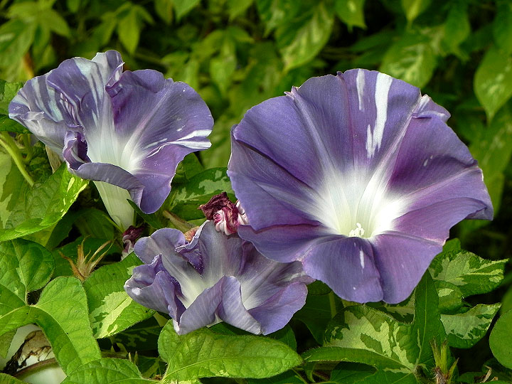 DSCN8941
