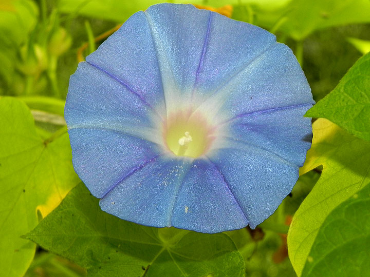 DSCN8947