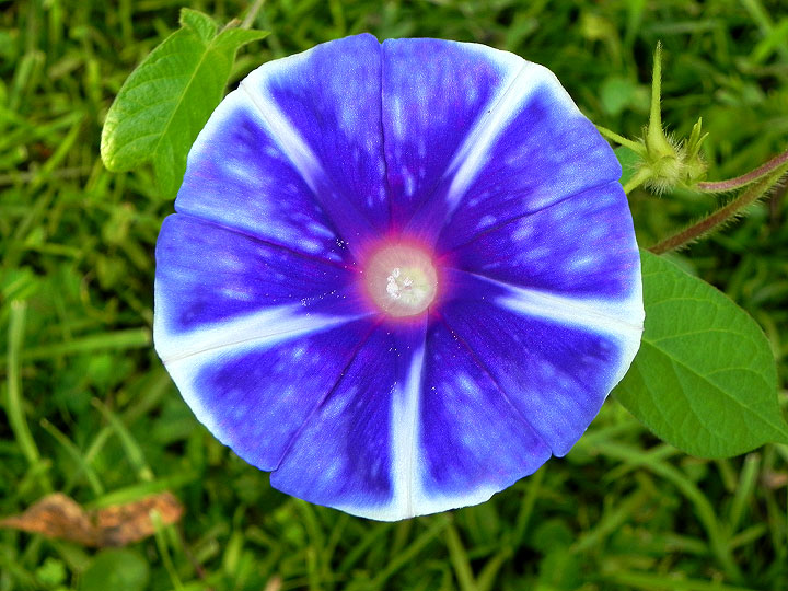 DSCN8961