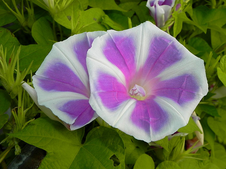 DSCN9034