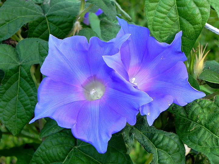 DSCN9091