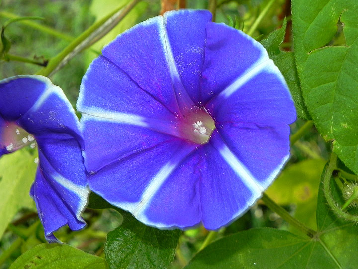 DSCN9183_01