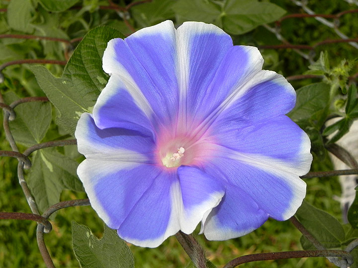 DSCN9221_01