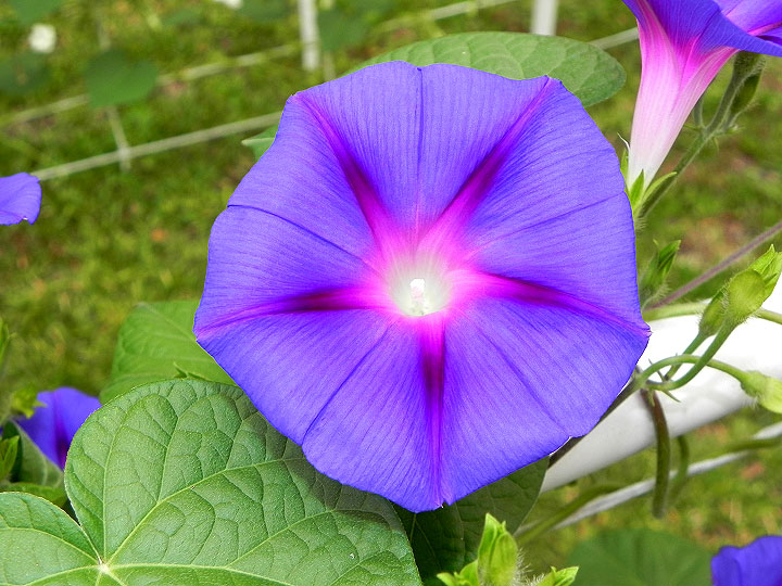 DSCN9299