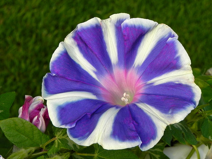 DSCN9304
