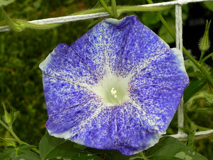 DSCN9326