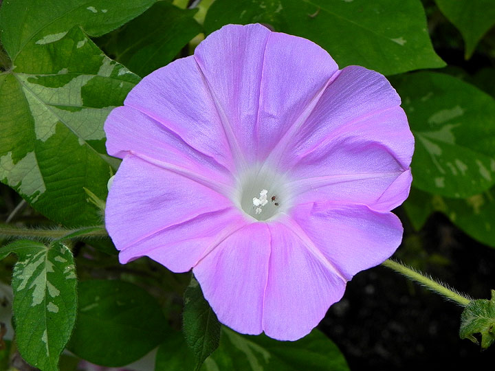DSCN9327