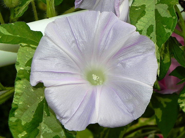 DSCN9329