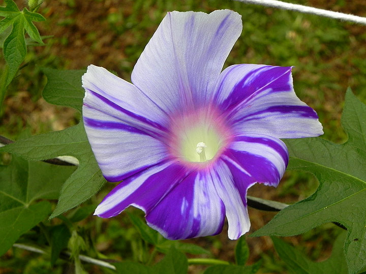 DSCN9342