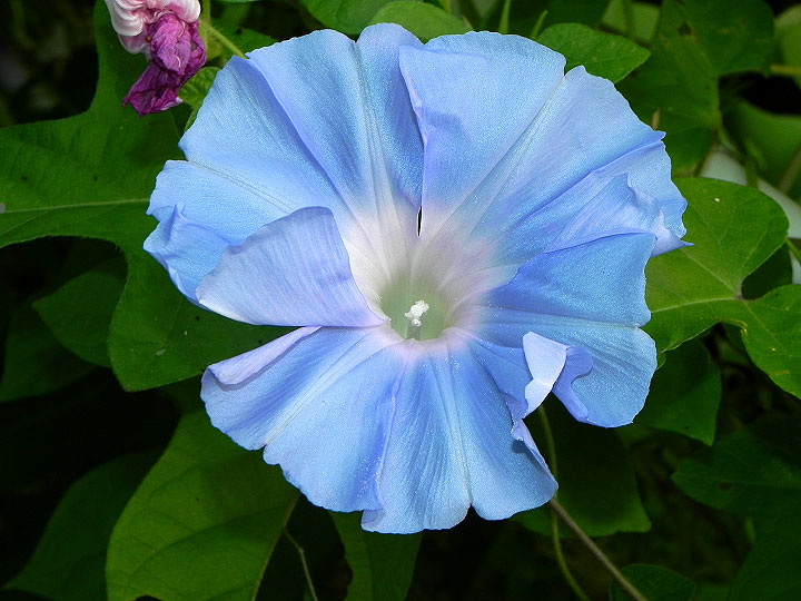 DSCN9362