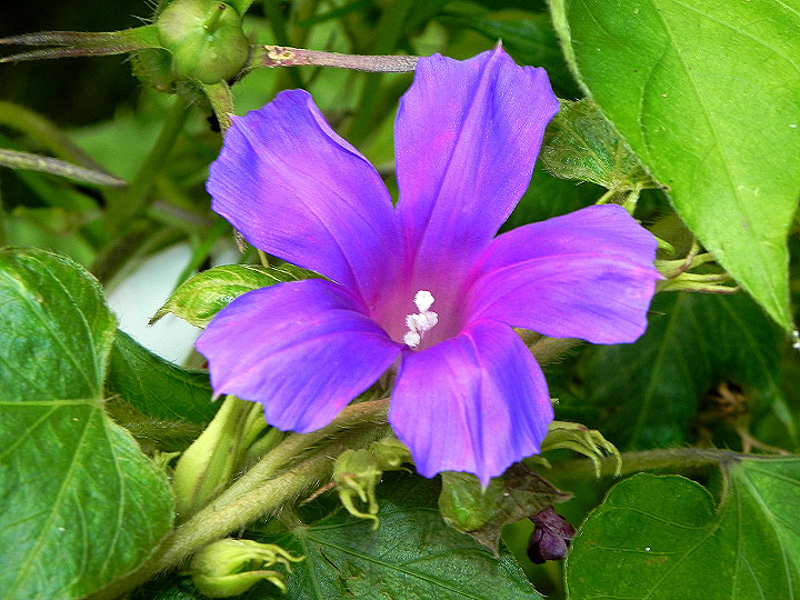 DSCN9381