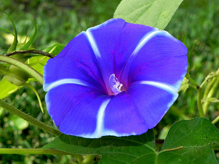 DSCN9384