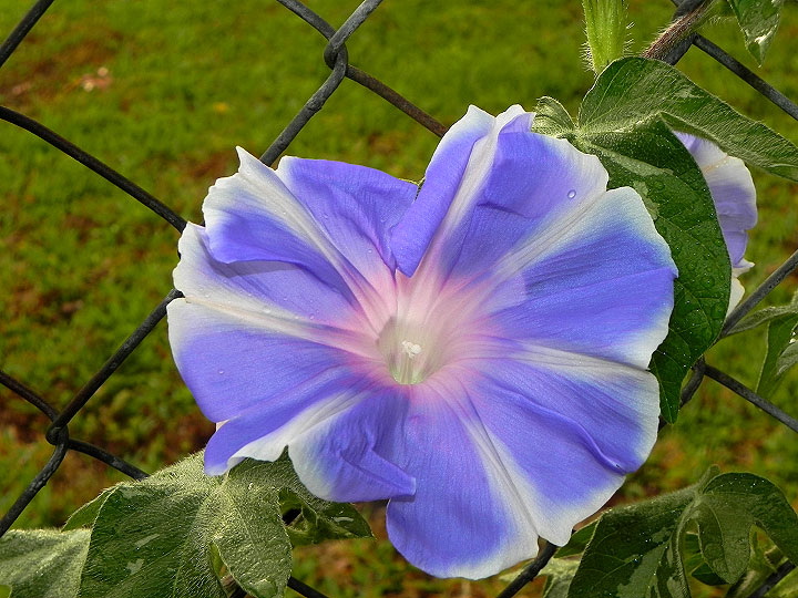 DSCN9394