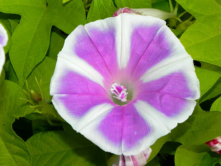 DSCN9418