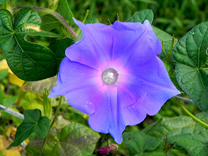 DSCN9449