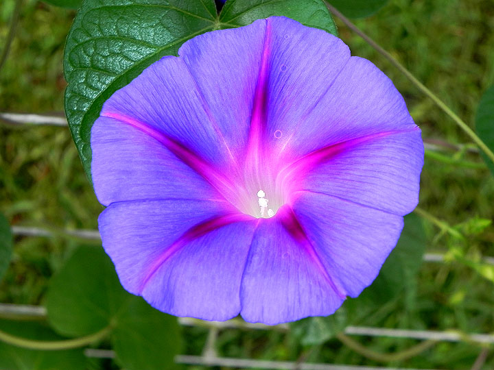 DSCN9474