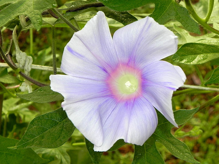 DSCN9528