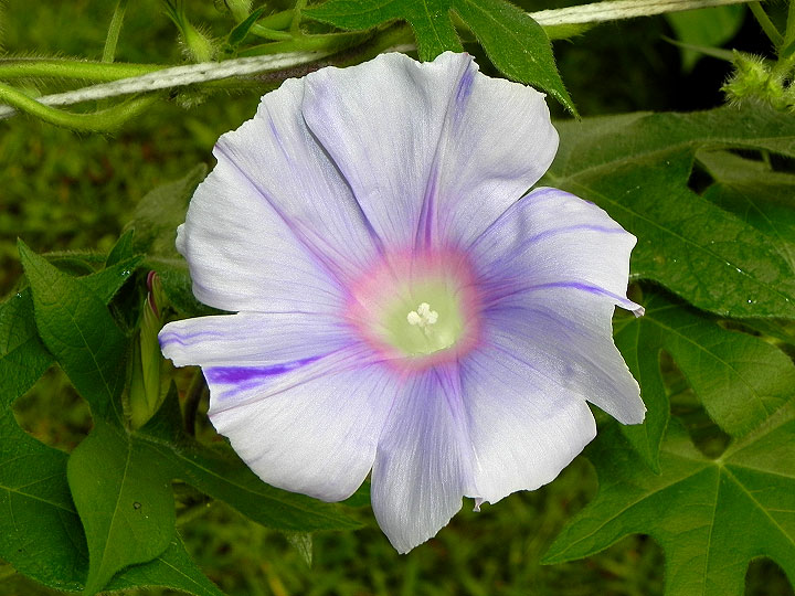 DSCN9530