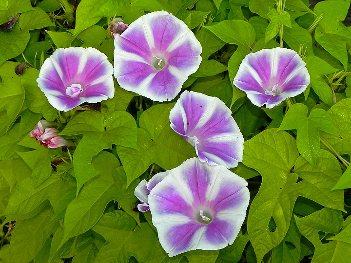 DSCN9537