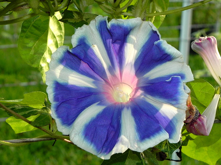 DSCN9595