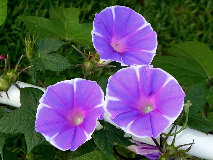 DSCN9597