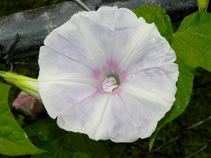DSCN9599_01