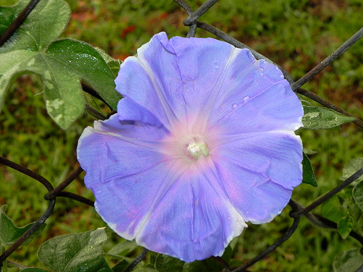 DSCN9619