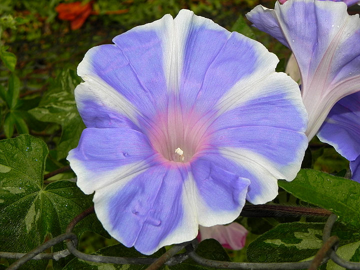 DSCN9620