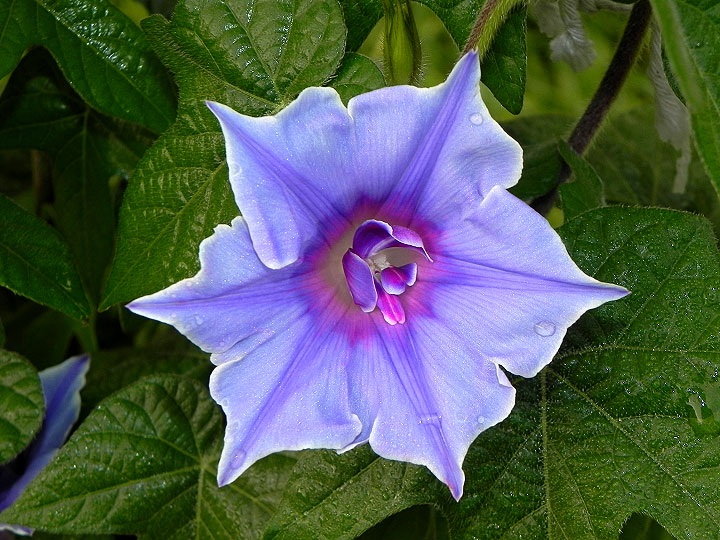 DSCN9641