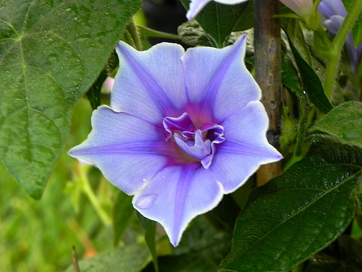 DSCN9647