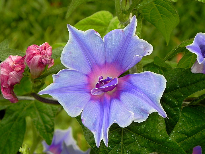 DSCN9648