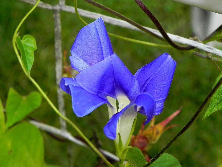 DSCN9657