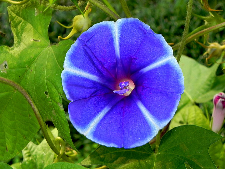 DSCN9662