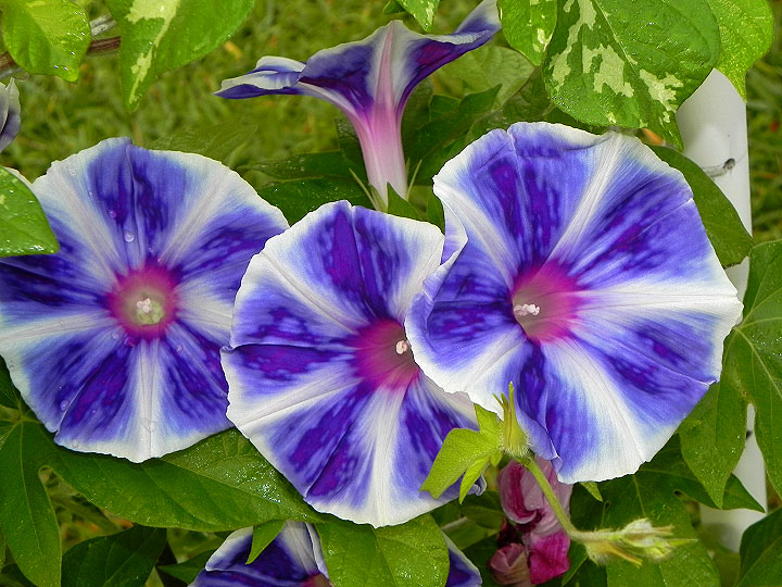 DSCN9689