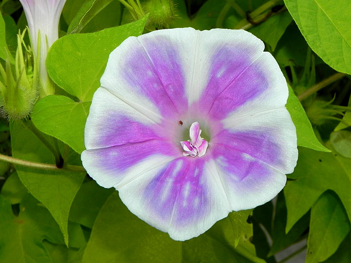 DSCN9696