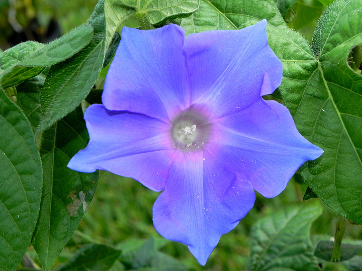 DSCN9715