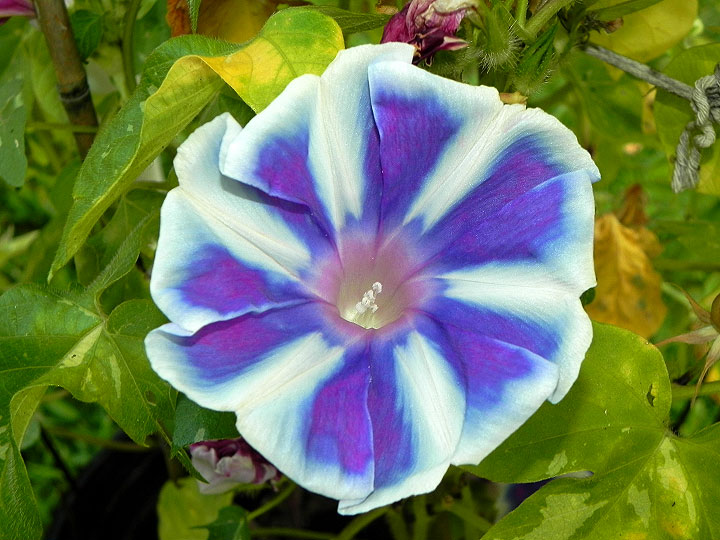 DSCN9725