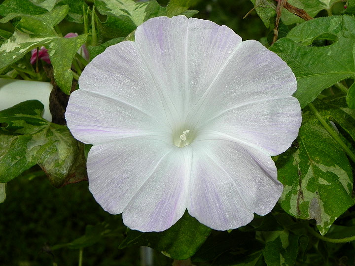DSCN9728