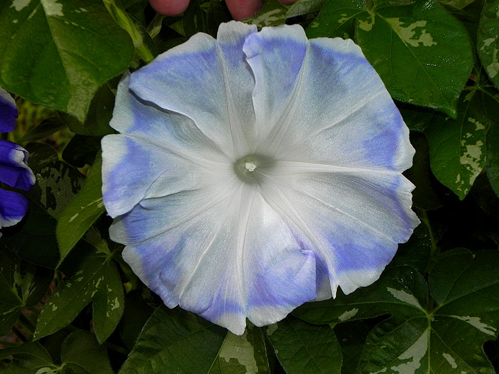 DSCN9737